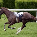 Warum Sollten Die Tipper Immer Kalten Kopf Beim Wetten Auf Sport Bewahren?